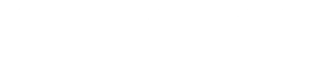 Zenerom digital marketing agency Kochi logo